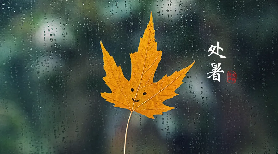 今日處暑，暑去涼來
