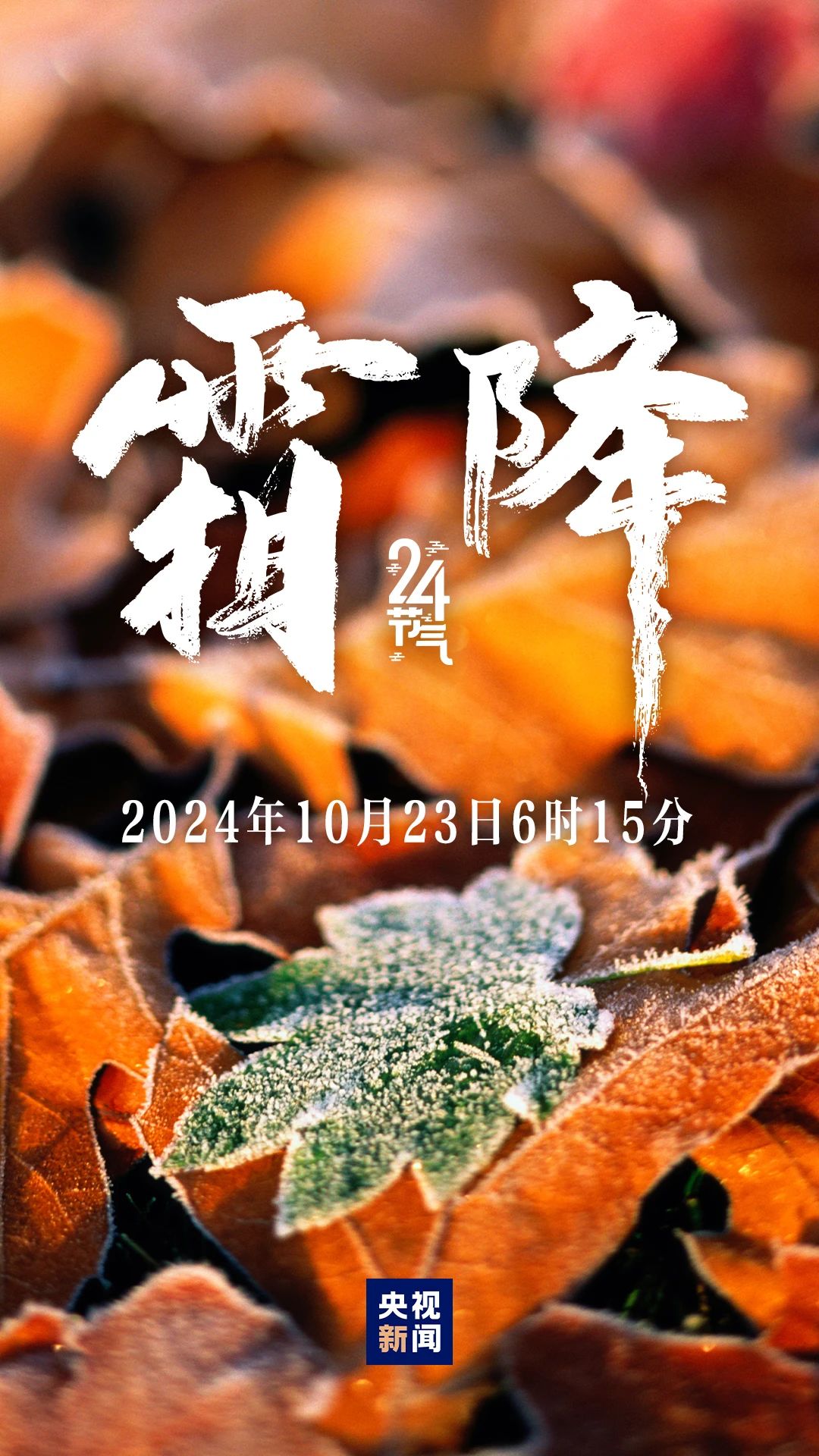 秋季最后一個(gè)節(jié)氣，來(lái)了