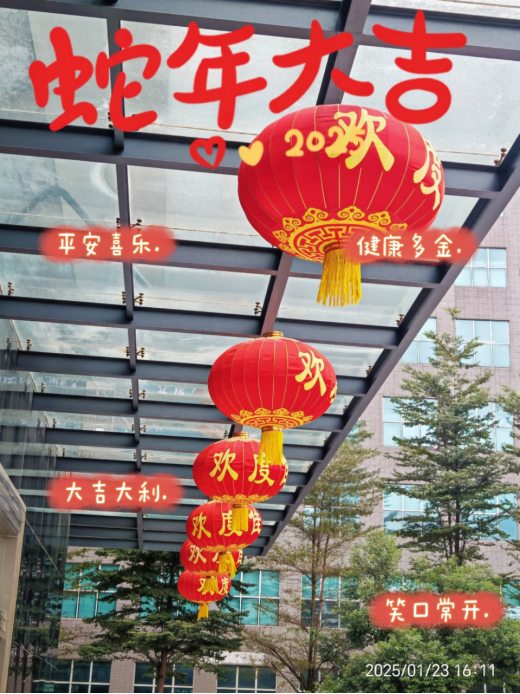 靈蛇舞動迎新春，喜氣洋洋滿乾坤
